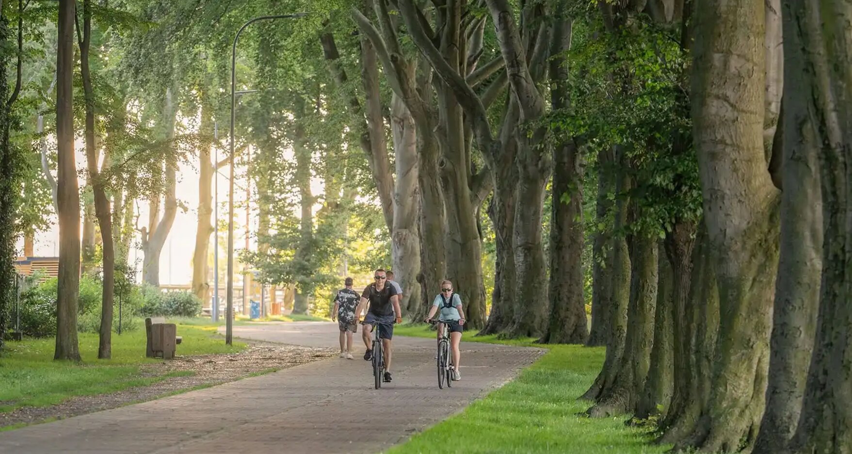 Zdjęcie ścieżki rowerowej w parku w Pucku