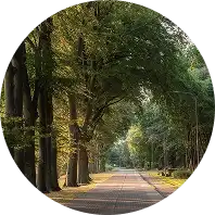 Bliskość terenów przyrodniczych  i parków krajobrazowych